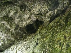 H�hlenf�hrung - Bild 2